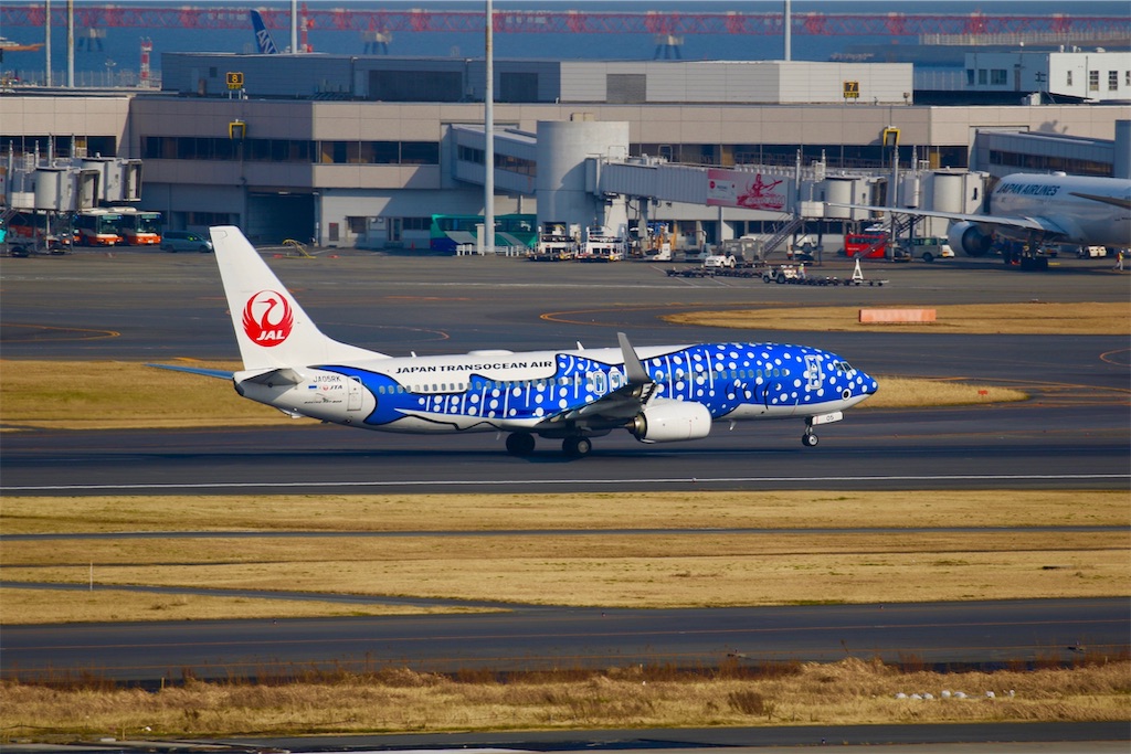 f:id:tomohiko37_i:20181110004657j:image
