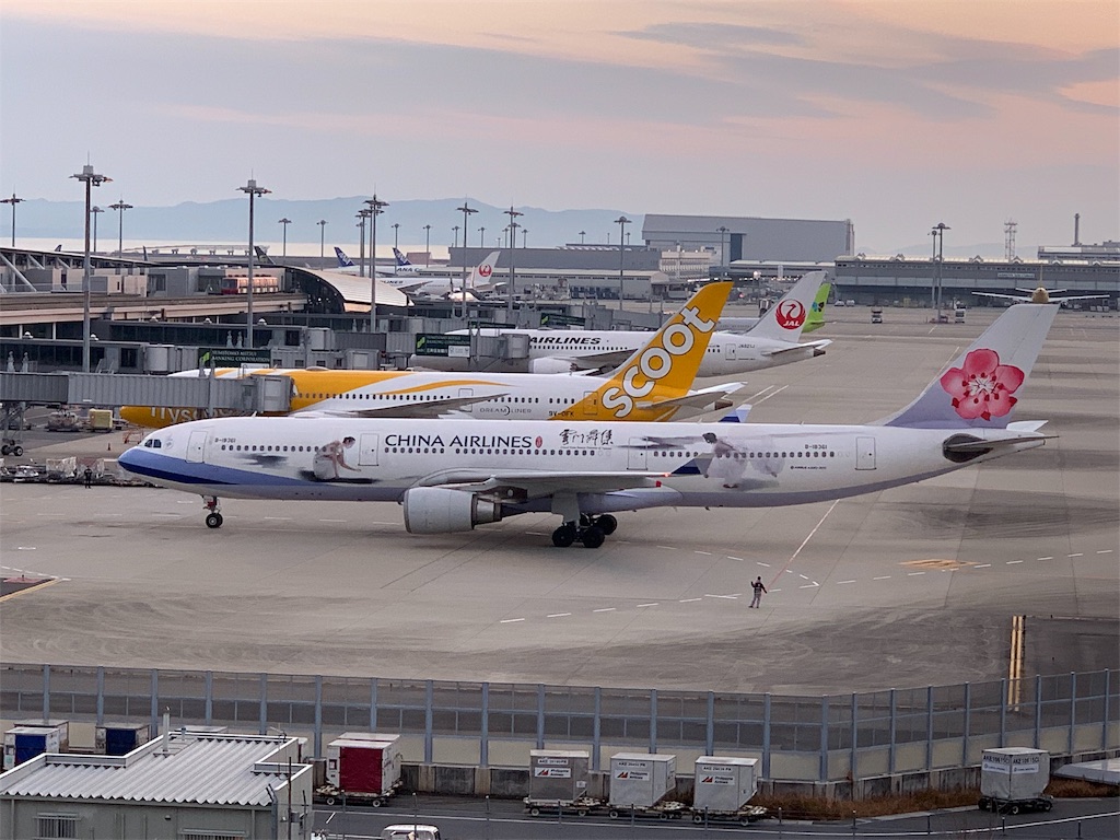 f:id:tomohiko37_i:20190227063830j:image f:id:tomohiko37_i:20190227063830j:image