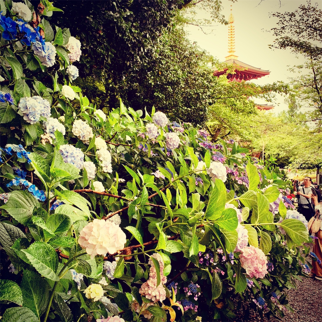 f:id:tomohiko37_i:20190624190454j:image f:id:tomohiko37_i:20190624190454j:image