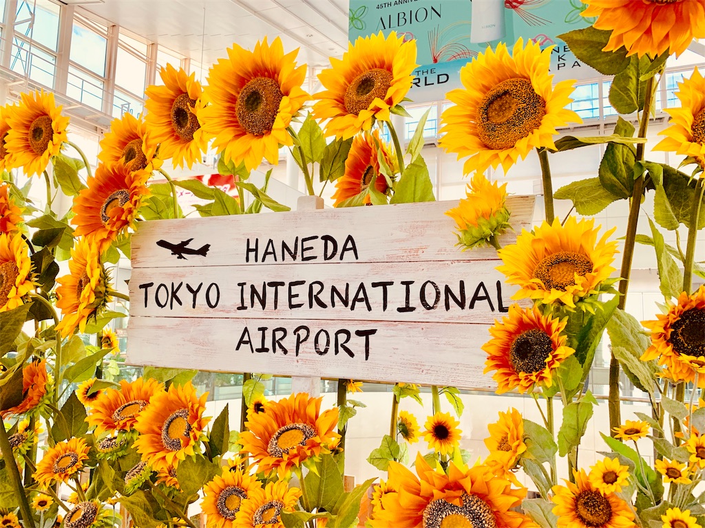 f:id:tomohiko37_i:20190728062620j:image
