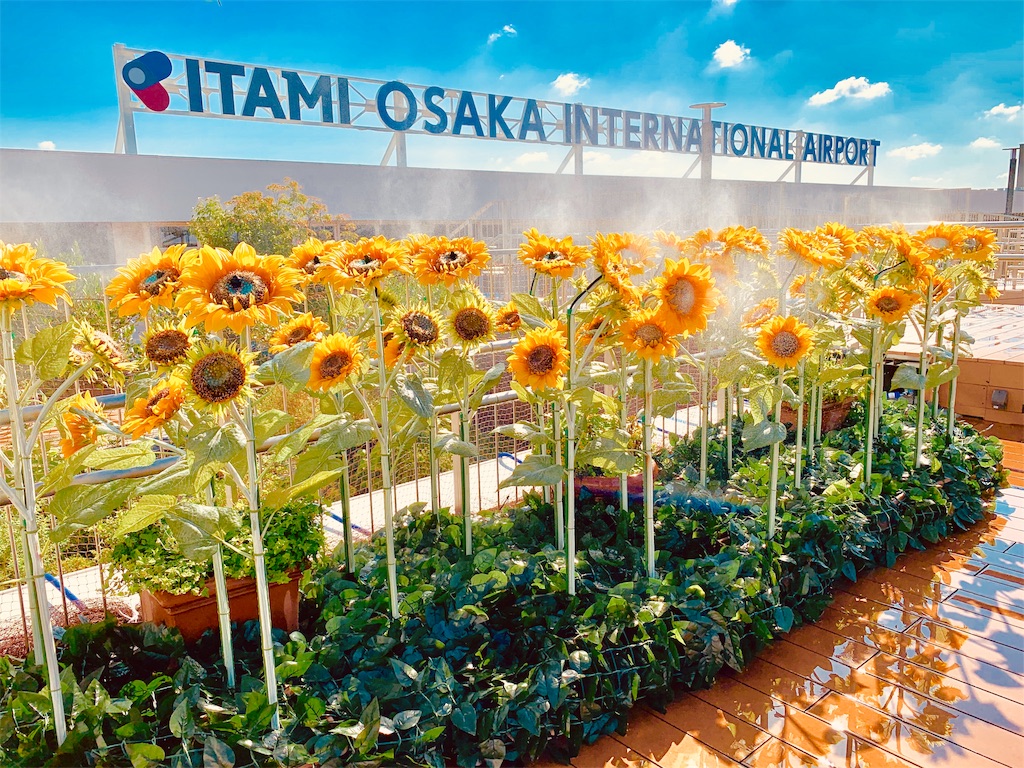 f:id:tomohiko37_i:20190826101152j:image f:id:tomohiko37_i:20190826101152j:image