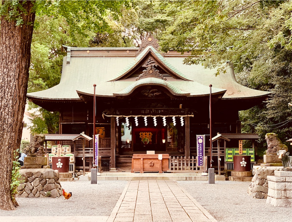 f:id:tomohiko37_i:20190914125424j:image f:id:tomohiko37_i:20190914125424j:image