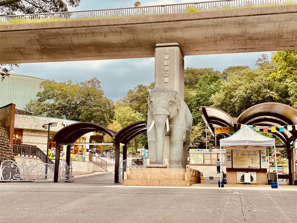 f:id:tomohiko37_i:20191021214642j:image f:id:tomohiko37_i:20191021214642j:image