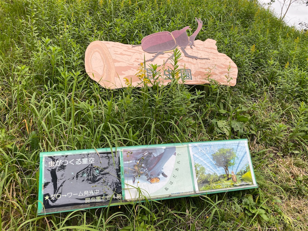 f:id:tomohiko37_i:20191021220252j:image f:id:tomohiko37_i:20191021220252j:image