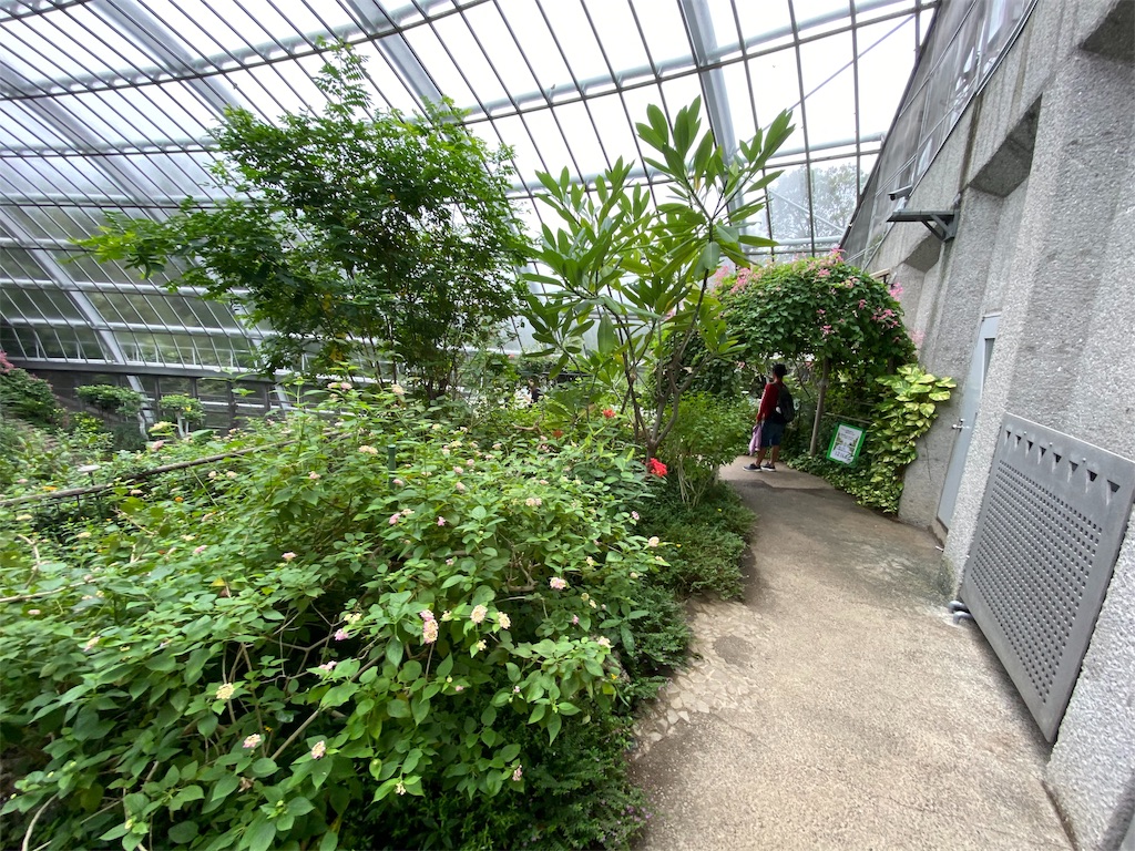 f:id:tomohiko37_i:20191021223000j:image f:id:tomohiko37_i:20191021223000j:image