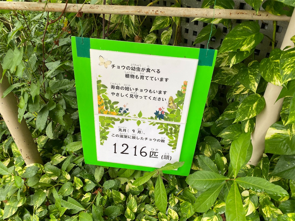 f:id:tomohiko37_i:20191021223012j:image f:id:tomohiko37_i:20191021223012j:image