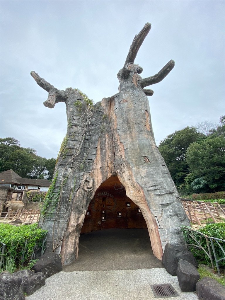 f:id:tomohiko37_i:20191023224531j:image f:id:tomohiko37_i:20191023224531j:image