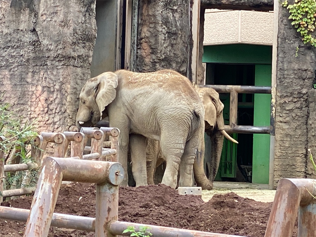 f:id:tomohiko37_i:20191023224535j:image f:id:tomohiko37_i:20191023224535j:image