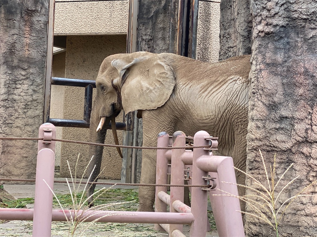 f:id:tomohiko37_i:20191023224542j:image f:id:tomohiko37_i:20191023224542j:image