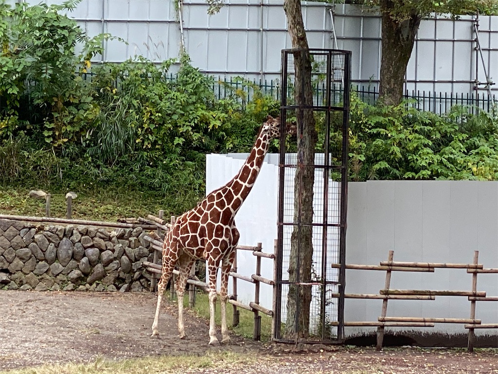 f:id:tomohiko37_i:20191024211523j:image f:id:tomohiko37_i:20191024211523j:image