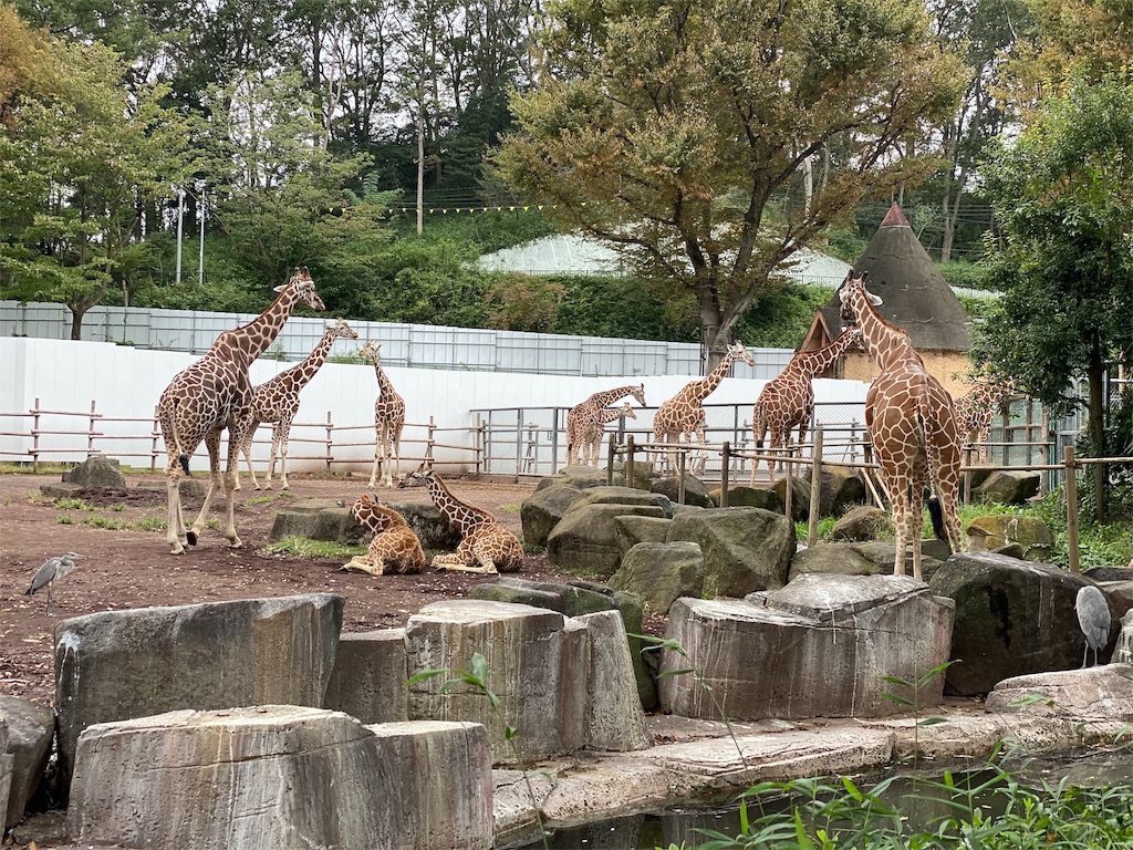 f:id:tomohiko37_i:20191024211535j:image f:id:tomohiko37_i:20191024211535j:image