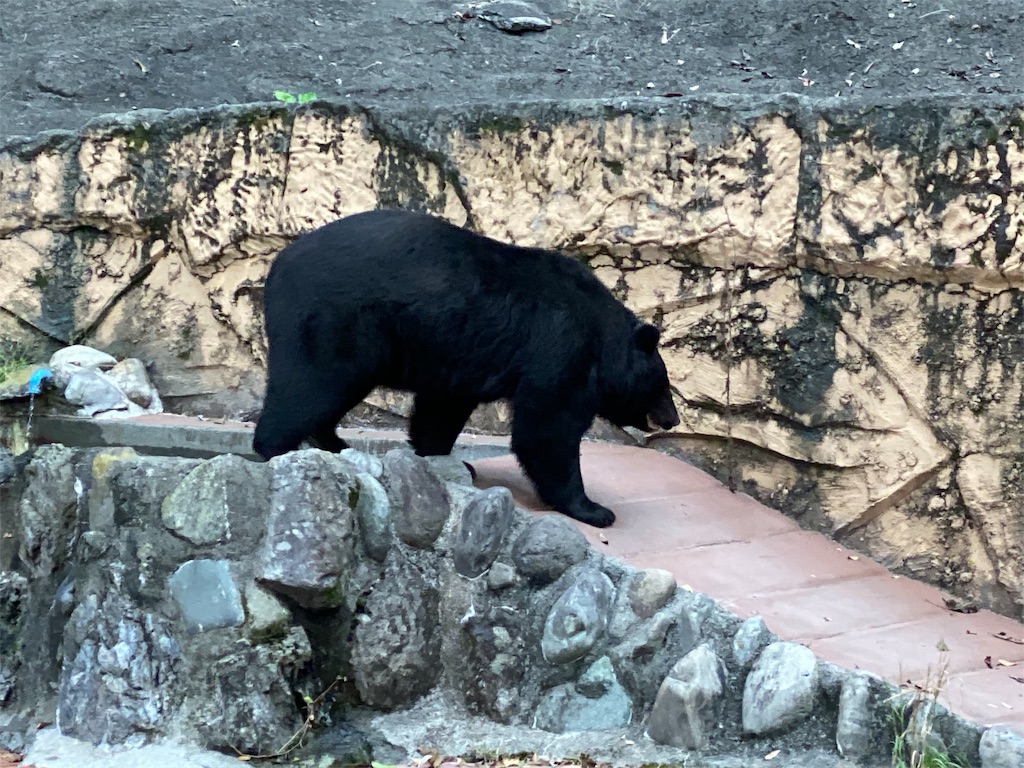 f:id:tomohiko37_i:20191027082025j:image f:id:tomohiko37_i:20191027082025j:image