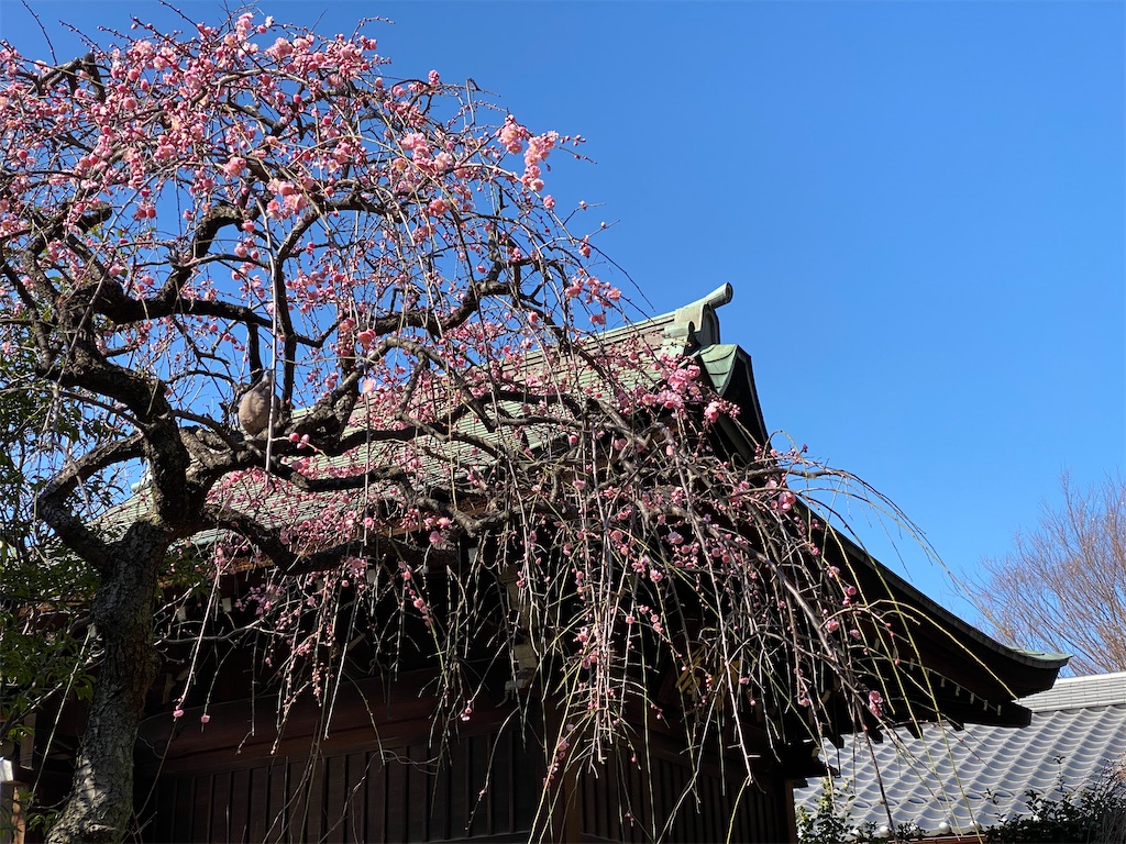f:id:tomohiko37_i:20200330210052j:image f:id:tomohiko37_i:20200330210052j:image