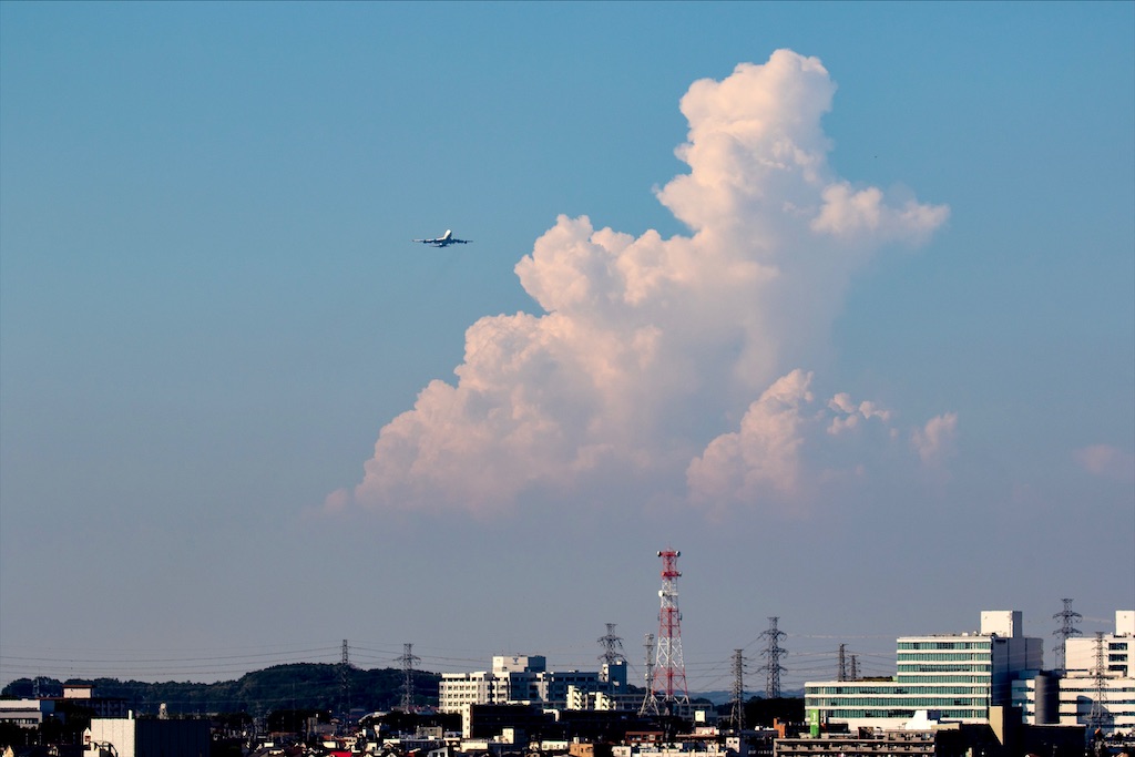 f:id:tomohiko37_i:20200821010422j:plain f:id:tomohiko37_i:20200821010422j:plain