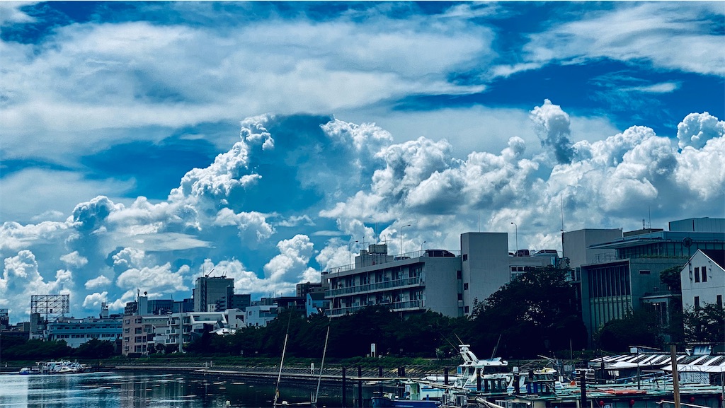 f:id:tomohiko37_i:20200829011555j:plain f:id:tomohiko37_i:20200829011555j:plain