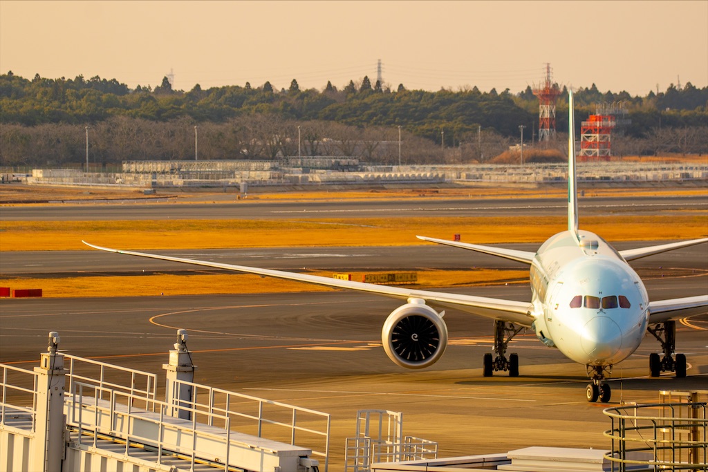 少し値下げしました　エティハド航空　ボーイング　787-10 グリーンライナー 少し値下げしました エティハド航空 ボーイング 787-10 グリーン