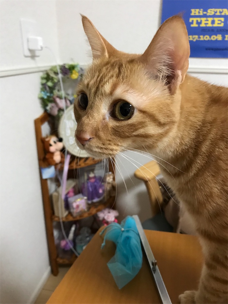 f:id:tomohiro-apr29:20171111224616j:image f:id:tomohiro-apr29:20171111224616j:image