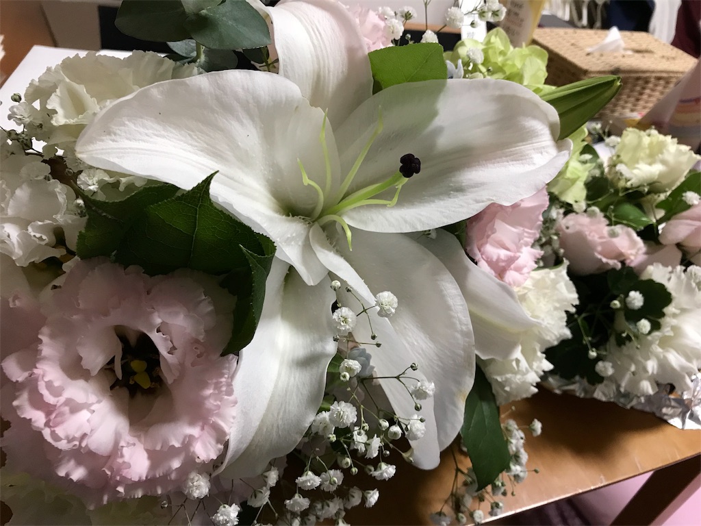 f:id:tomohiro-apr29:20171111224711j:image f:id:tomohiro-apr29:20171111224711j:image