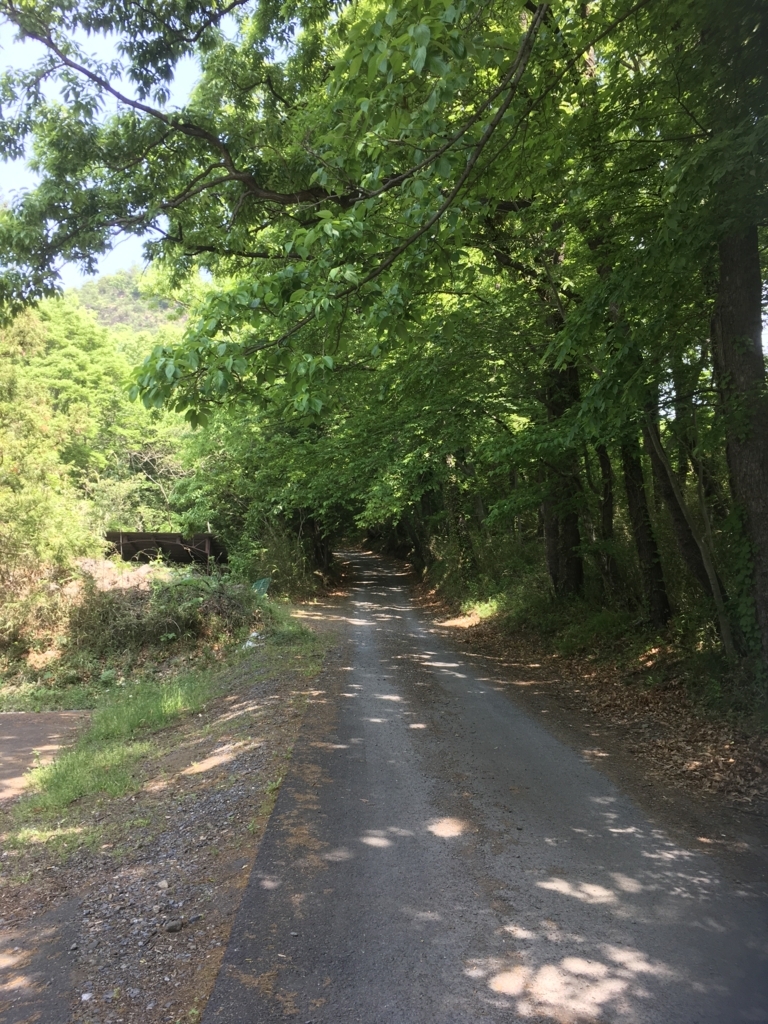 f:id:tomohiro-ongaku:20180430212141j:plain f:id:tomohiro-ongaku:20180430212141j:plain