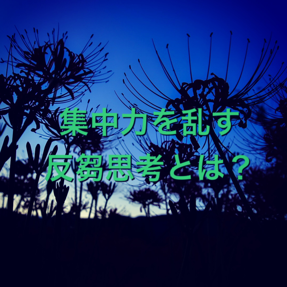 f:id:tomohiro-yamada9:20200927222338j:plain f:id:tomohiro-yamada9:20200927222338j:plain