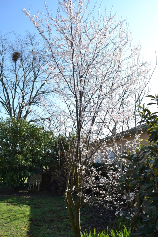 f:id:tomohiro419:20100323061845j:image