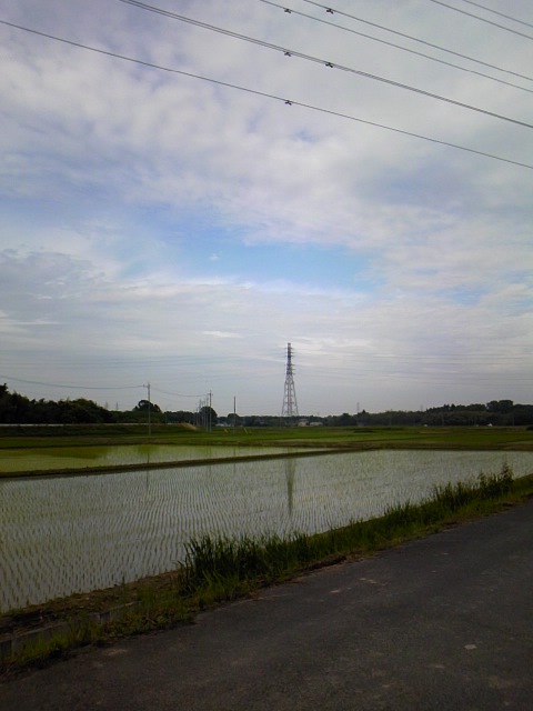 f:id:tomohiro419:20100609162237j:image