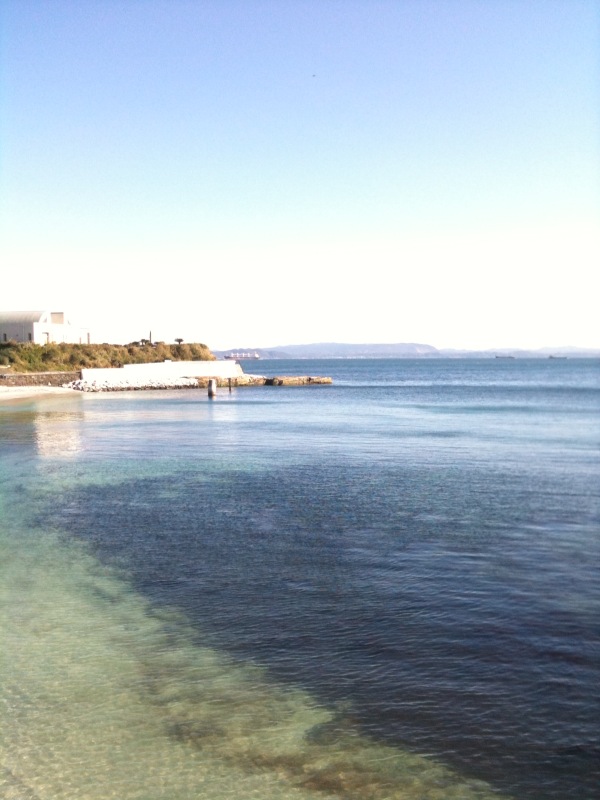 f:id:tomohiro419:20101208111022j:image