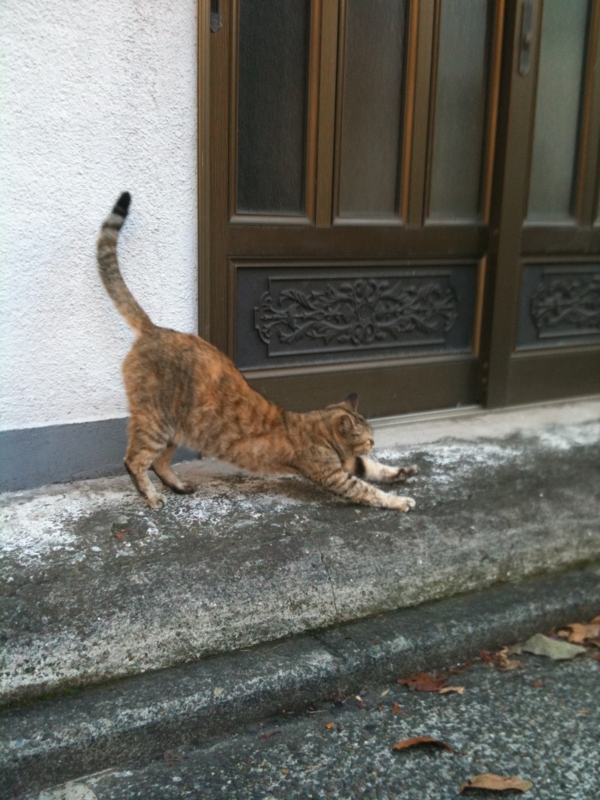 f:id:tomohiro419:20101209153547j:image