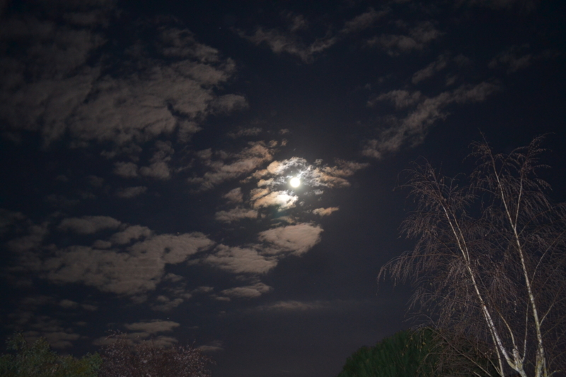 f:id:tomohiro419:20110319225502j:image