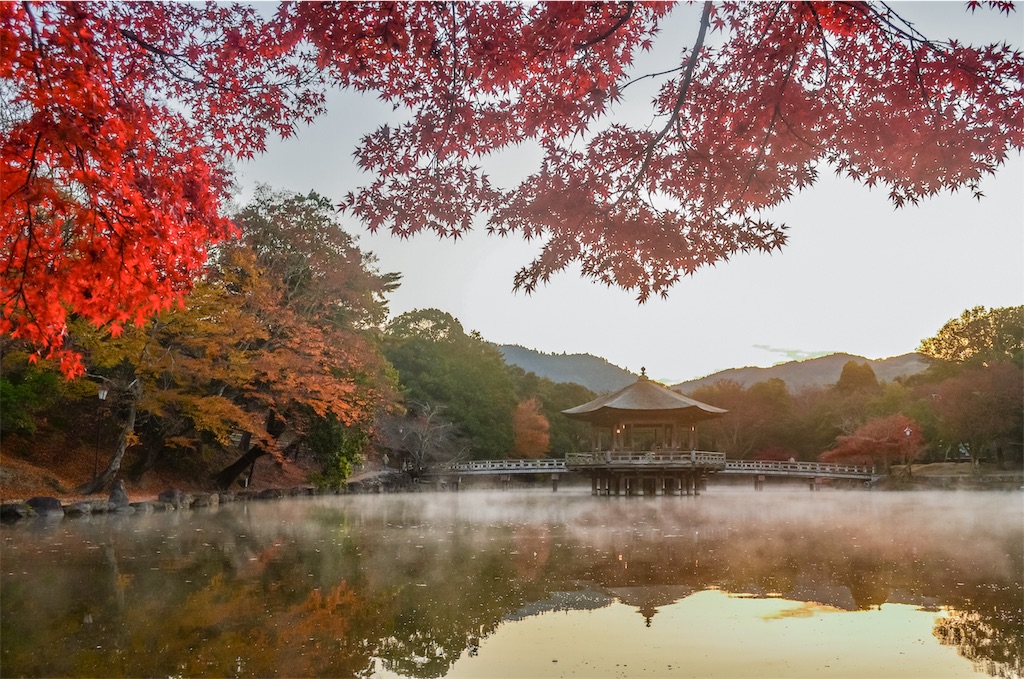 f:id:tomohiro6:20191203201934j:image f:id:tomohiro6:20191203201934j:image