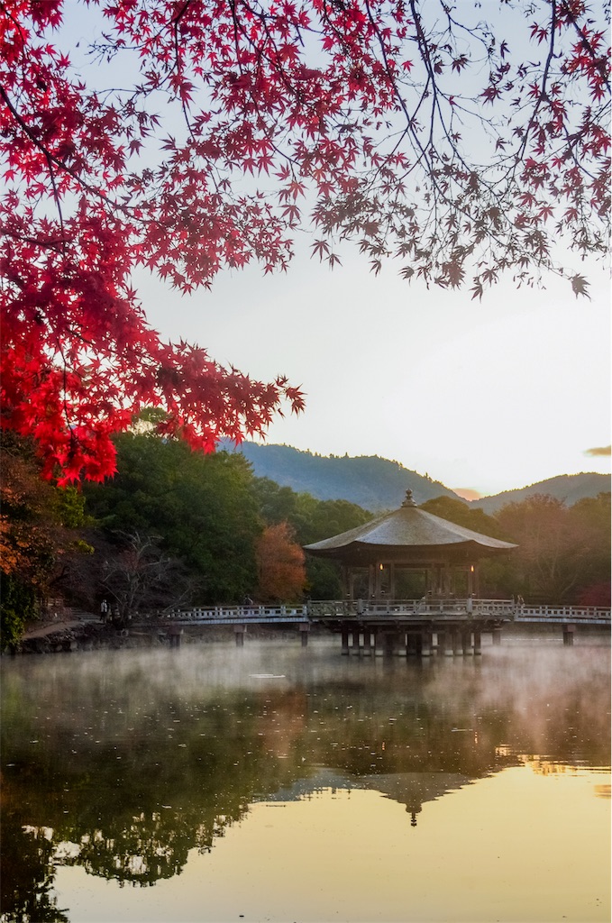 f:id:tomohiro6:20191203201944j:image f:id:tomohiro6:20191203201944j:image