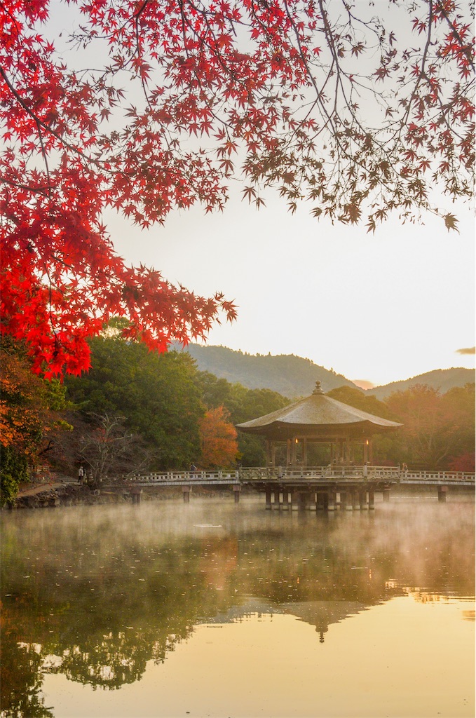 f:id:tomohiro6:20191230141815j:image f:id:tomohiro6:20191230141815j:image