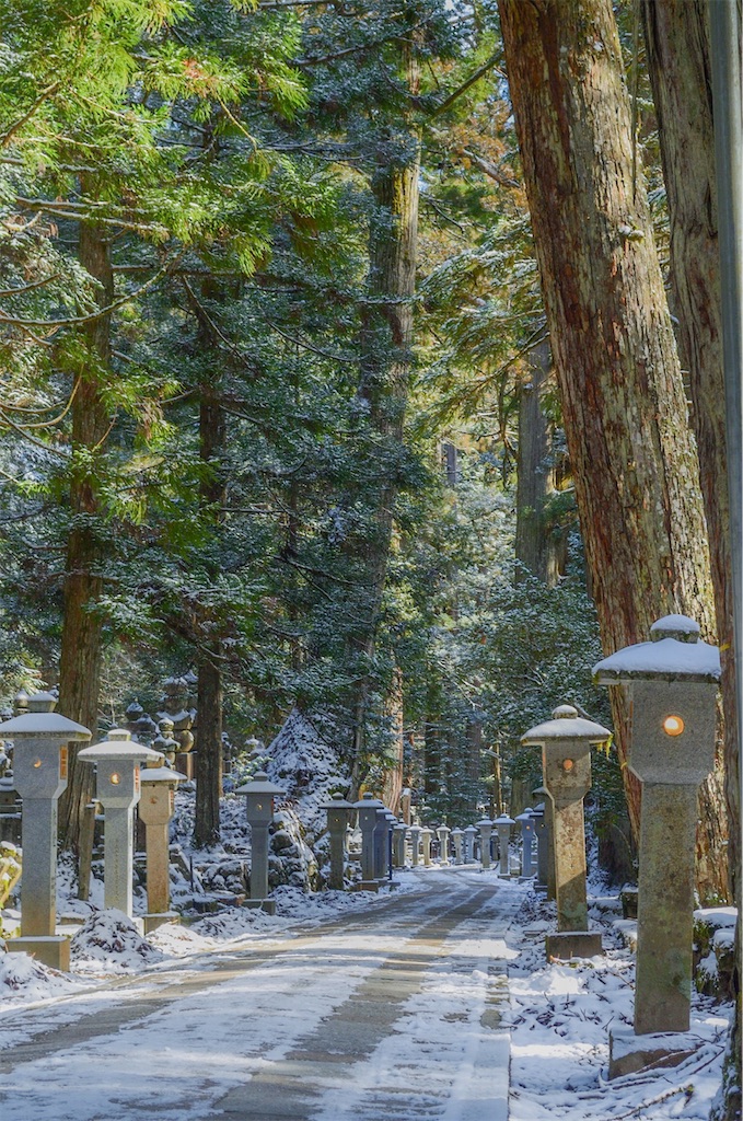 f:id:tomohiro6:20200221150740j:image f:id:tomohiro6:20200221150740j:image