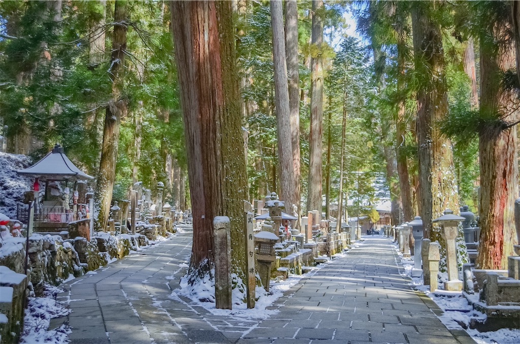 f:id:tomohiro6:20200221150743j:image f:id:tomohiro6:20200221150743j:image