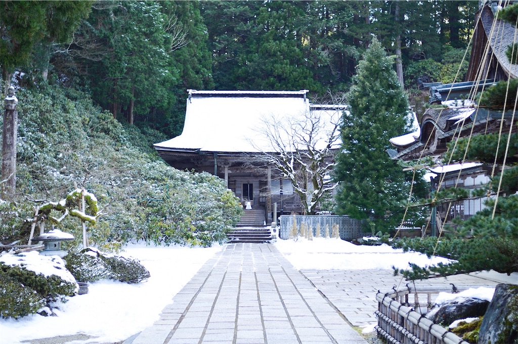 f:id:tomohiro6:20200225162421j:image f:id:tomohiro6:20200225162421j:image