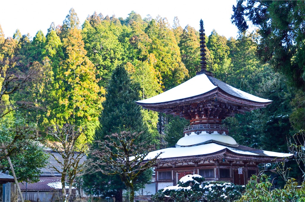 f:id:tomohiro6:20200225163808j:image f:id:tomohiro6:20200225163808j:image