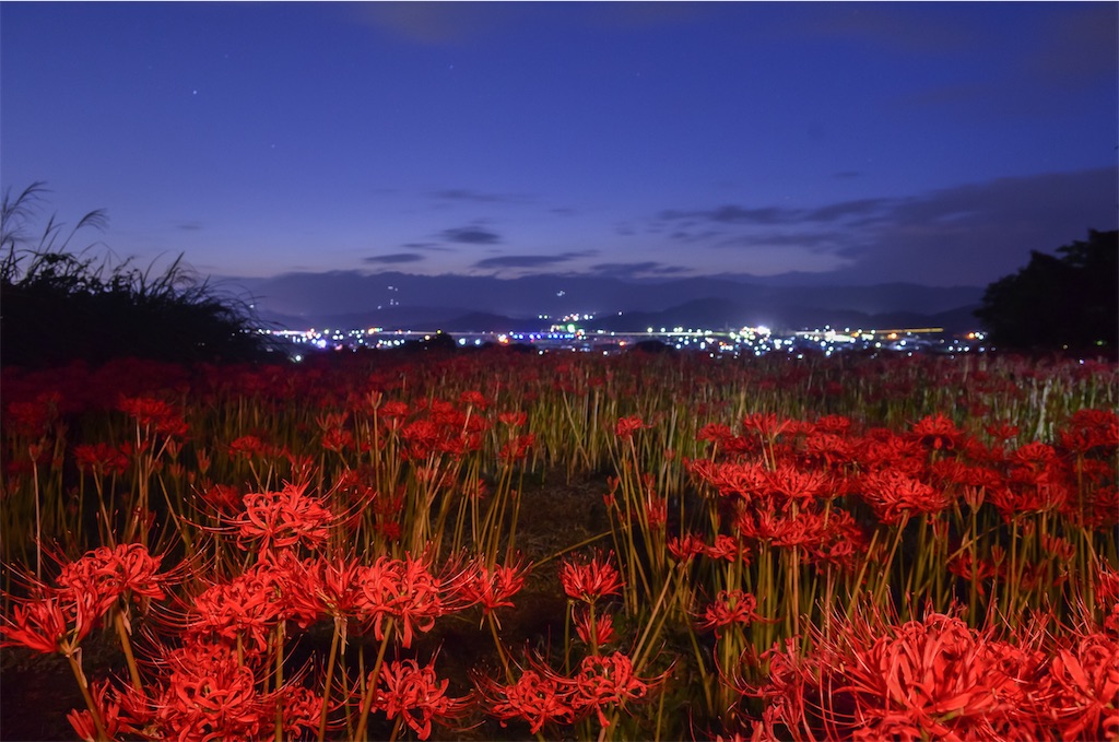 f:id:tomohiro6:20200929013735j:image f:id:tomohiro6:20200929013735j:image