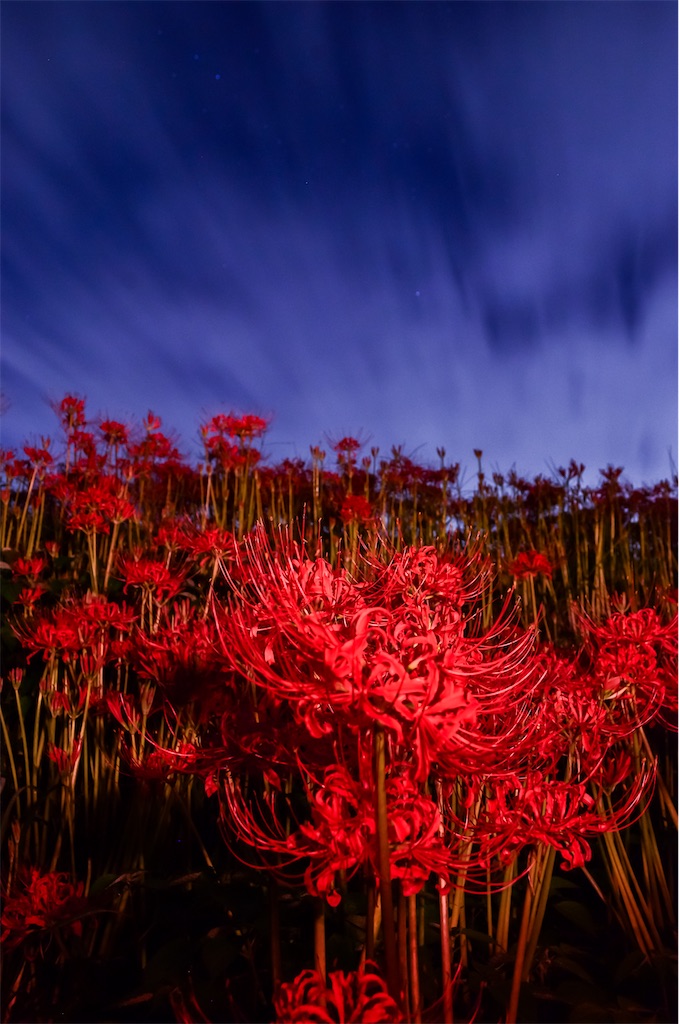 f:id:tomohiro6:20200929013744j:image f:id:tomohiro6:20200929013744j:image
