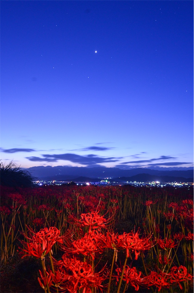 f:id:tomohiro6:20200929013748j:image f:id:tomohiro6:20200929013748j:image