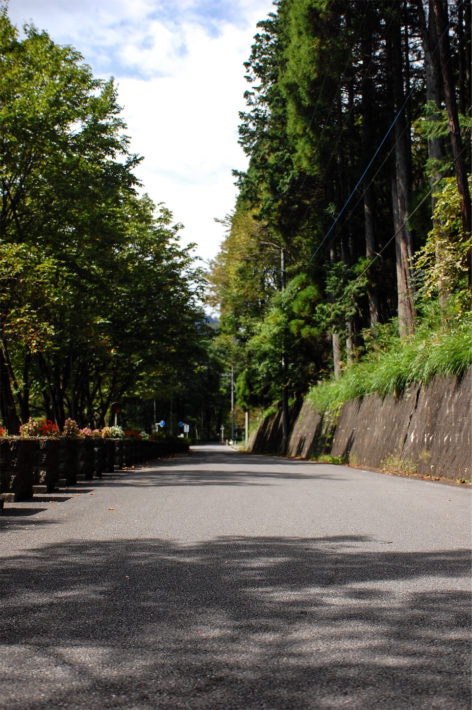 f:id:tomohiro_514:20191112230322j:image