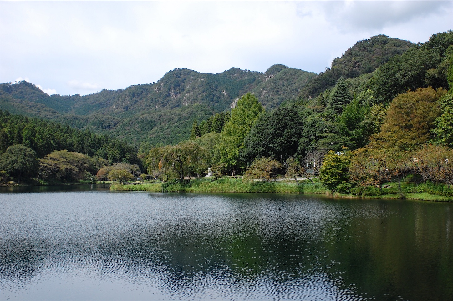 f:id:tomohiro_514:20191112230457j:image