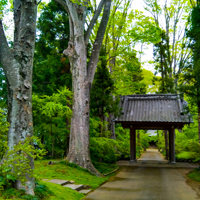 f:id:tomohiro_514:20210528112526j:plain