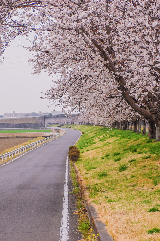 f:id:tomohiro_514:20210528113003j:plain