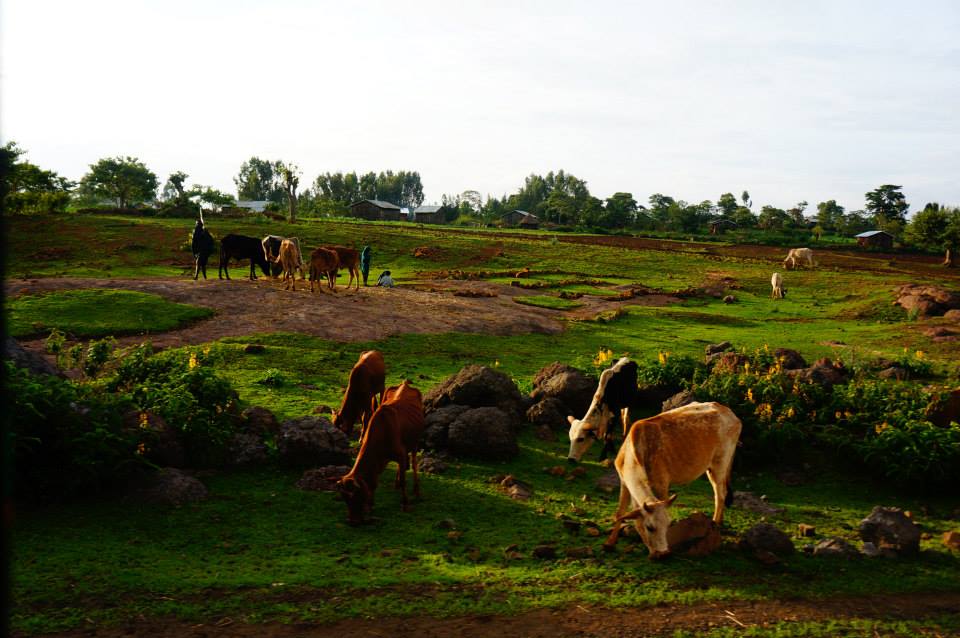 f:id:tomohiroiwanabe0106:20171217032658j:plain