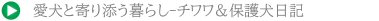 f:id:tomoiku21century:20190302193846j:plain