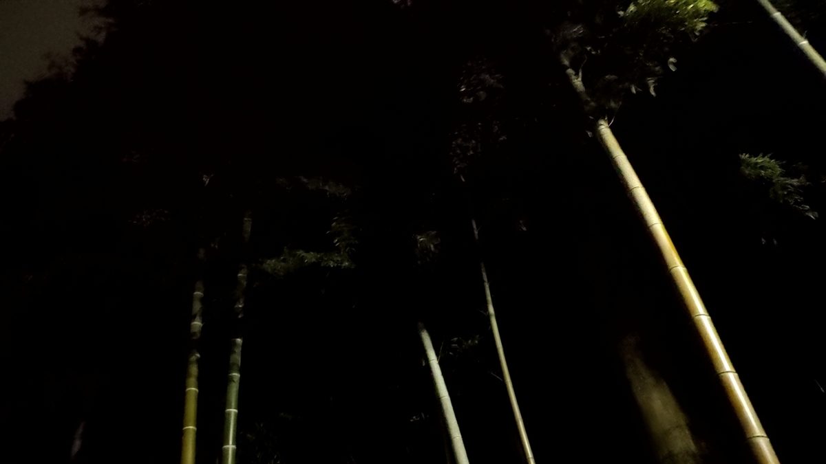 夕靄太夫 Tomokazupipeのブログ 夕靄太夫 Tomokazupipeのブログ