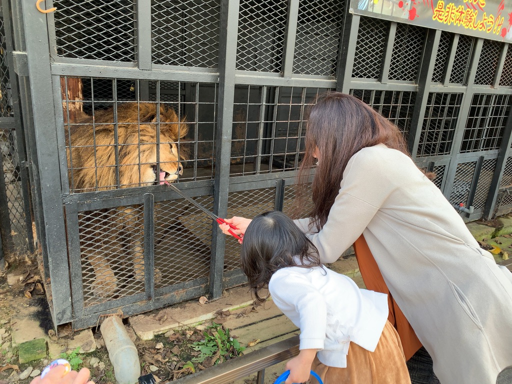 ノースサファリサッポロ 自己責任で動物と触れ合える 札幌紀行４ 智子の搭乗紀行 時々ホテルに美味しいもの