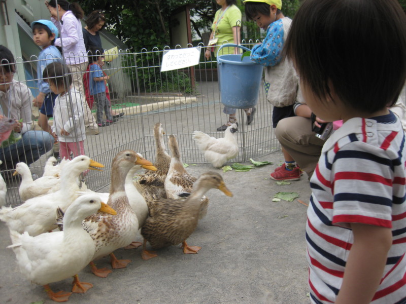 f:id:tomoko-moose:20110607125934j:image:w360