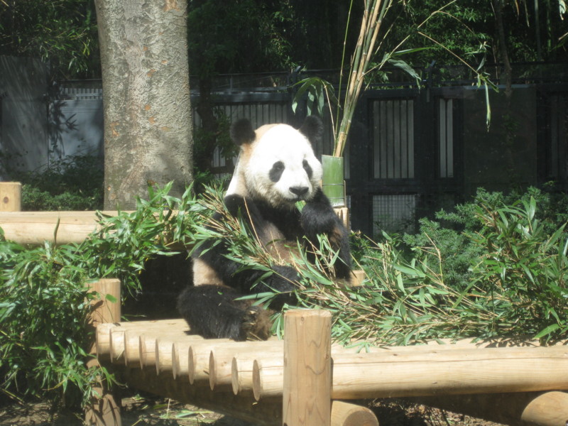 f:id:tomoko-moose:20110928115912j:image:w360 f:id:tomoko-moose:20110928115912j:image:w360