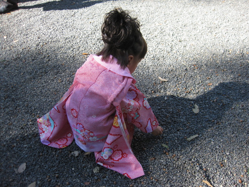 f:id:tomoko-moose:20121115115409j:image:w360 f:id:tomoko-moose:20121115115409j:image:w360